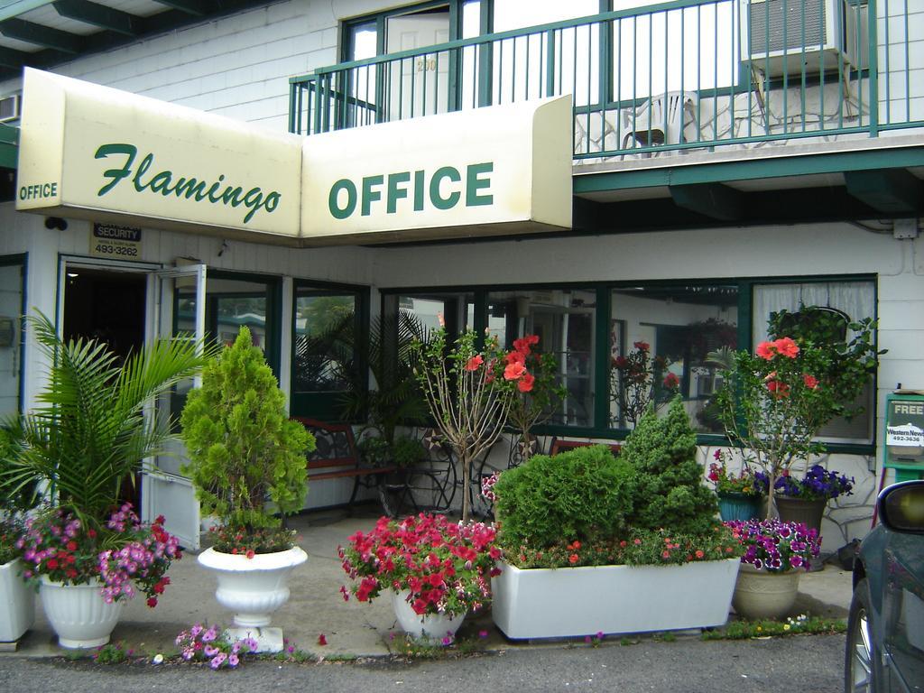 Flamingo Motel Penticton Luaran gambar
