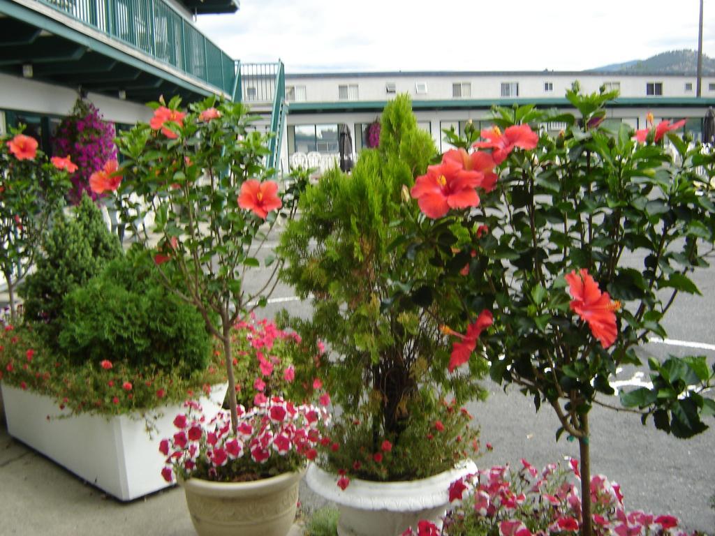 Flamingo Motel Penticton Luaran gambar