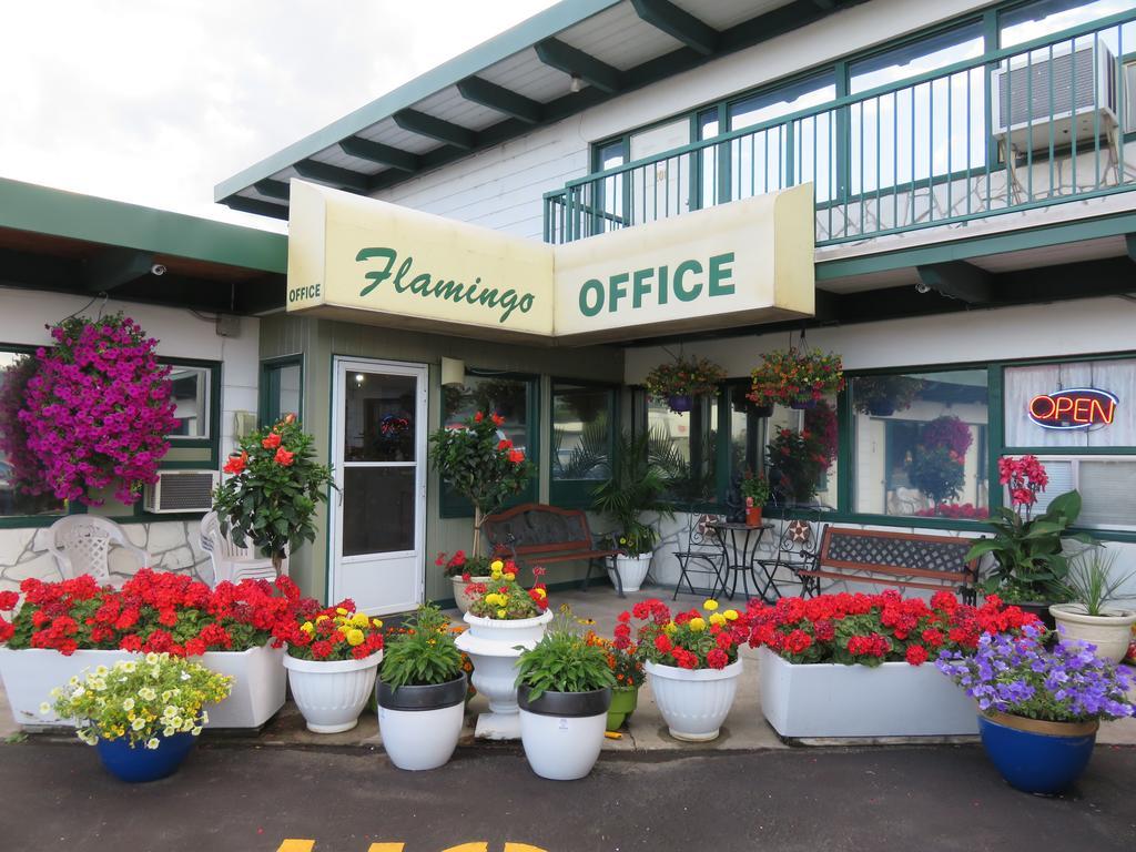 Flamingo Motel Penticton Luaran gambar